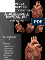 Arterias coronarias KarenSa