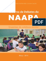 CADERNOS NAAPA