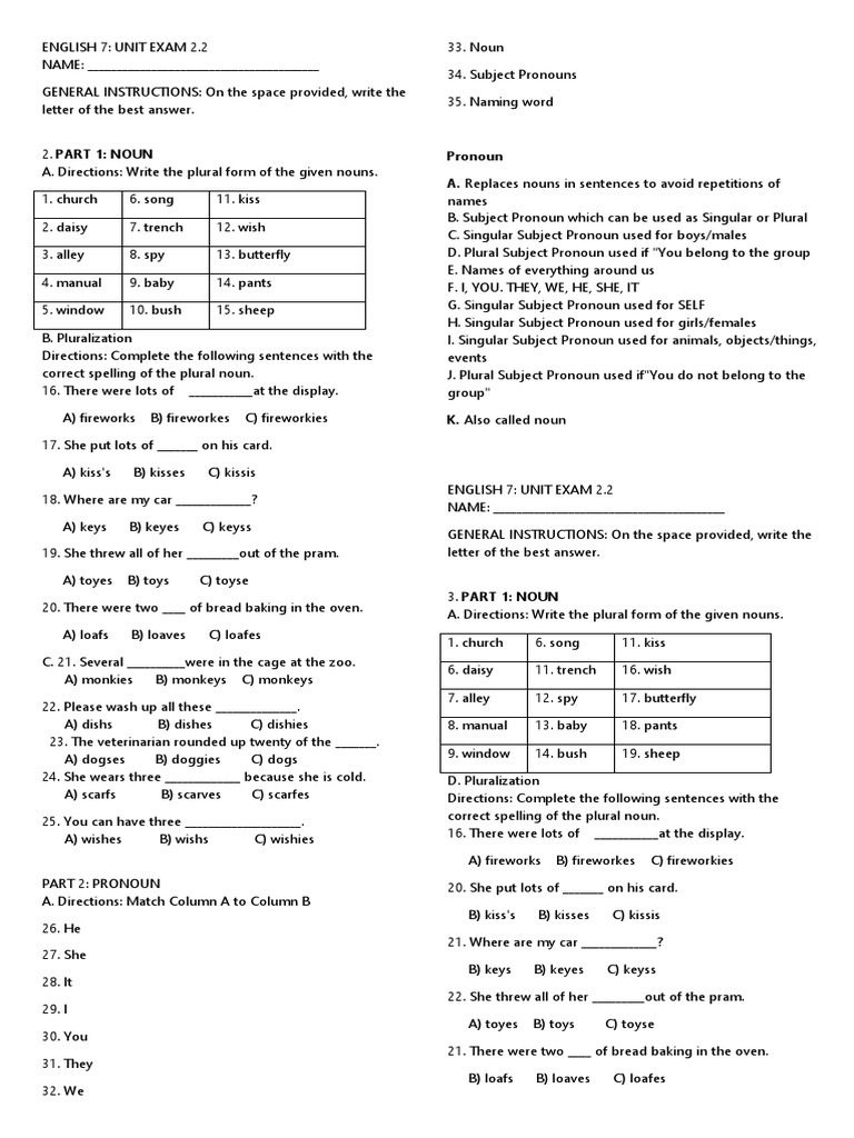 Nouns and Pronouns Unit Test | PDF | Grammatical Number | Plural