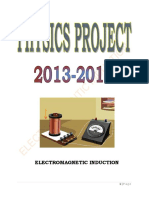 Electromagnetic Induction Project