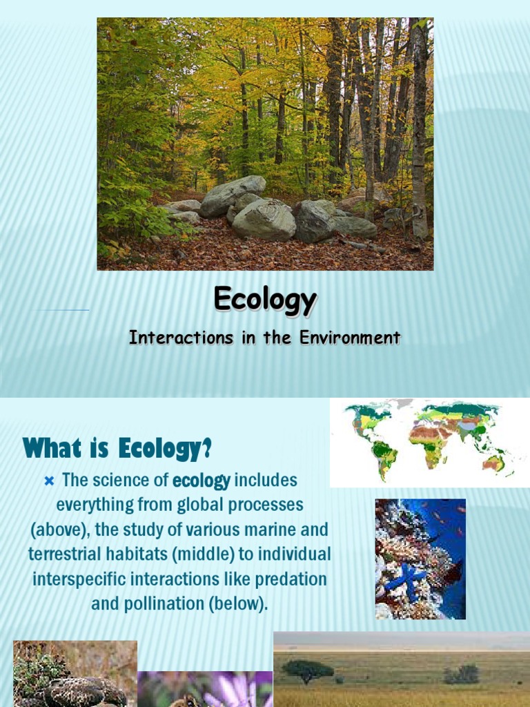 Interactions In The Environment