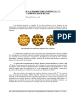 MODELOS DE CAPSIDAS DE VIRUS ESFÉRICOS CON.PDF