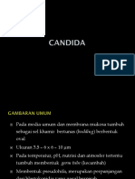 Candida