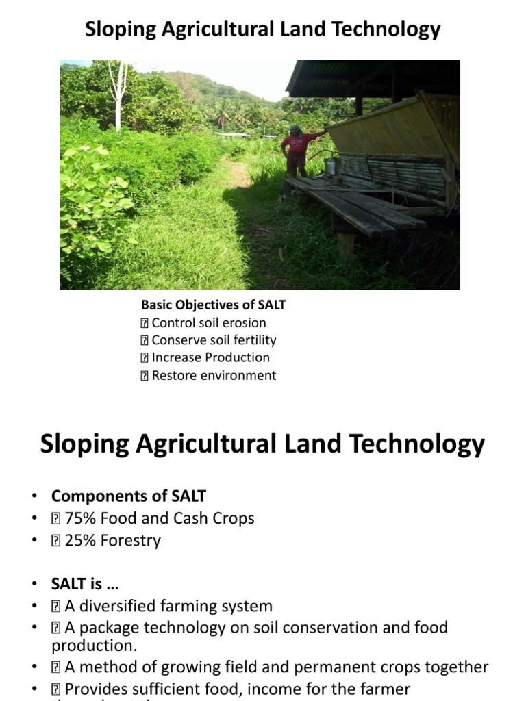 Sloping Land Technology | PDF