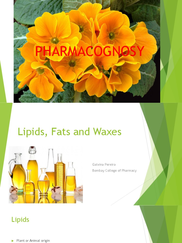 Lipids PDF Wax Lipid