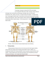 Resume Muskuloskeletal