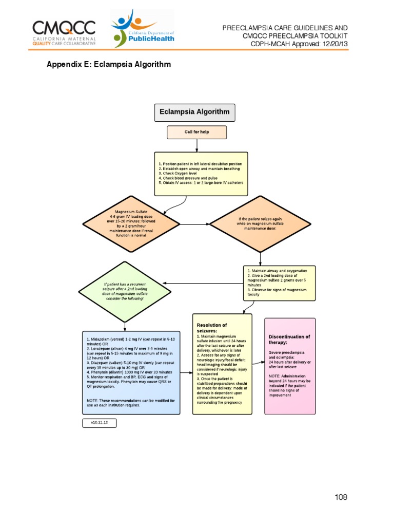Eclampsia Management Algorithm | PDF