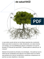 El protocolo de salud RAÍZ - Salud Estratégica