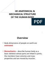 2.1 Anatomical & Mechanical Structure of Humans