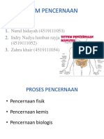 Sistem Pencernaan