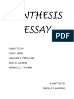 Synthesis Essay Final