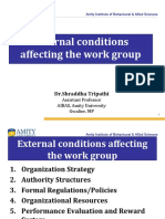 External Conditions Affecting The Work Group: DR - Shraddha Tripathi
