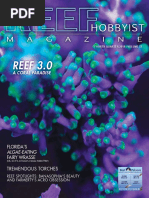 REEF 3.0: A Coral Paradise