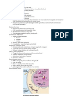 The Endocrine System