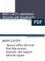 Body Cavity, Abdominal Regions and Quadrants