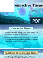 Anatomy Physiology Connective Tissue