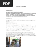 Vinificacion Del Vino Blanco