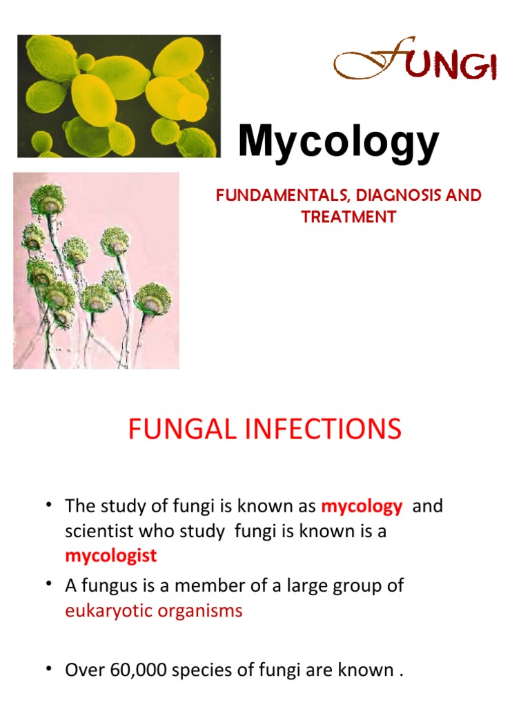Mycology Pdf Candidiasis Fungus