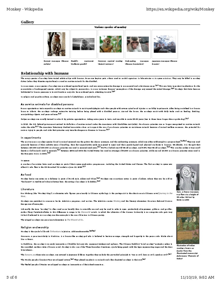 Diverse Roles of Monkeys in Society | PDF | Monkey