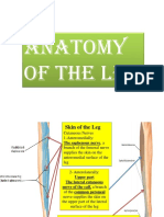 Mssanatomylegamjad PDF