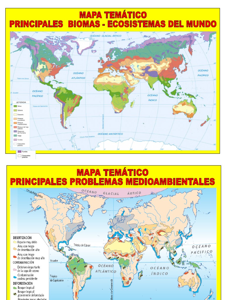 Mapa de Bioma | PDF