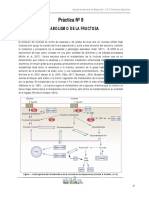 Bioquimica-Practica-11-Metabolismo de La Fructuosa (1)