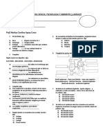 Examen 4