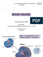 nucleo cleular