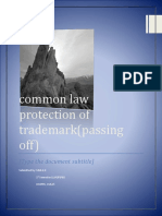 Common Law Protection of Trademark Report