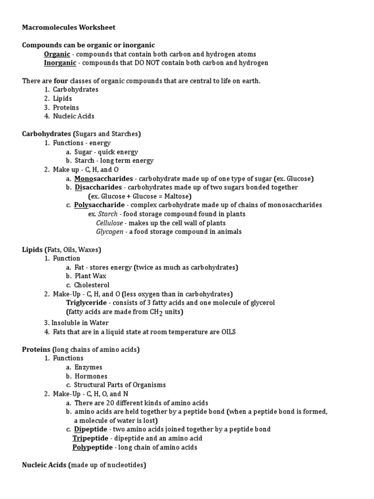 Macromolecules Worksheet Carbohydrates Lipid