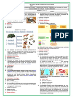 Bimestral Naturales Periodo 4