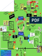 Mapa Conceptual Sobre Biomasa