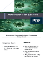 Archaebacteria Dan Eubacteria