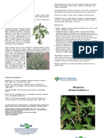 folder-manjericao.pdf