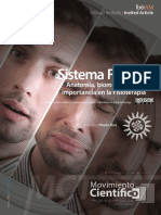  Sistema Fascial