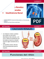 11 Clase Enf y Farmacoter - Calculos. Insuf-Renal