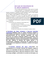 Instituciones Que Se Encargan de Preservarel Medio Ambiente