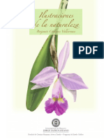 PDF-ilustraciones de La Naturaleza- Pag.02-15