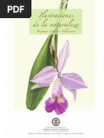 Ilustración de Flora y Paisaje | PDF | Science | Era de iluminacion