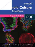 Organoid Culture Handbook