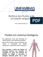 Biofísica dos fluidos e circulação.pdf