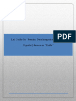 pdi-lab-guide.pdf