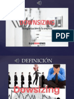 Presentación Dowsizing