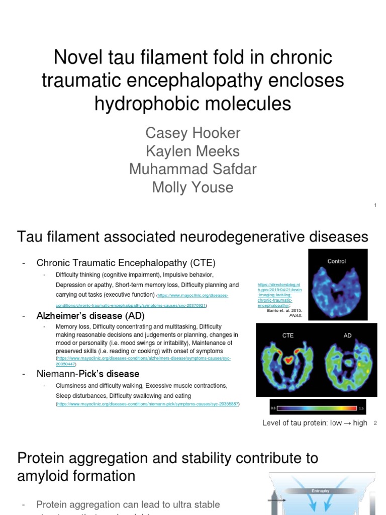 CTE Tau Filaments DIST | PDF | Chronic Traumatic Encephalopathy ...