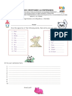 Anatomia infantil