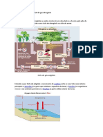 Ciclo Do Gas Nitrogenio