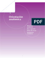 Plano PDF