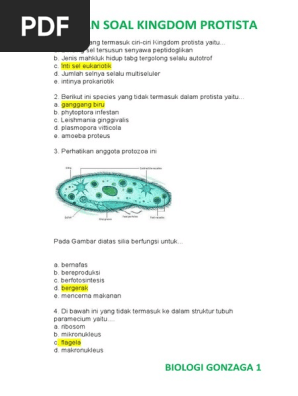 Soal Protista Ok Pdf