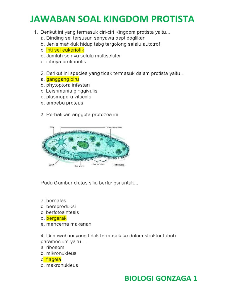 Soal Dan Jawaban Protista Ilmusosial Id