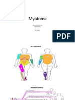 Myotoma Masteria